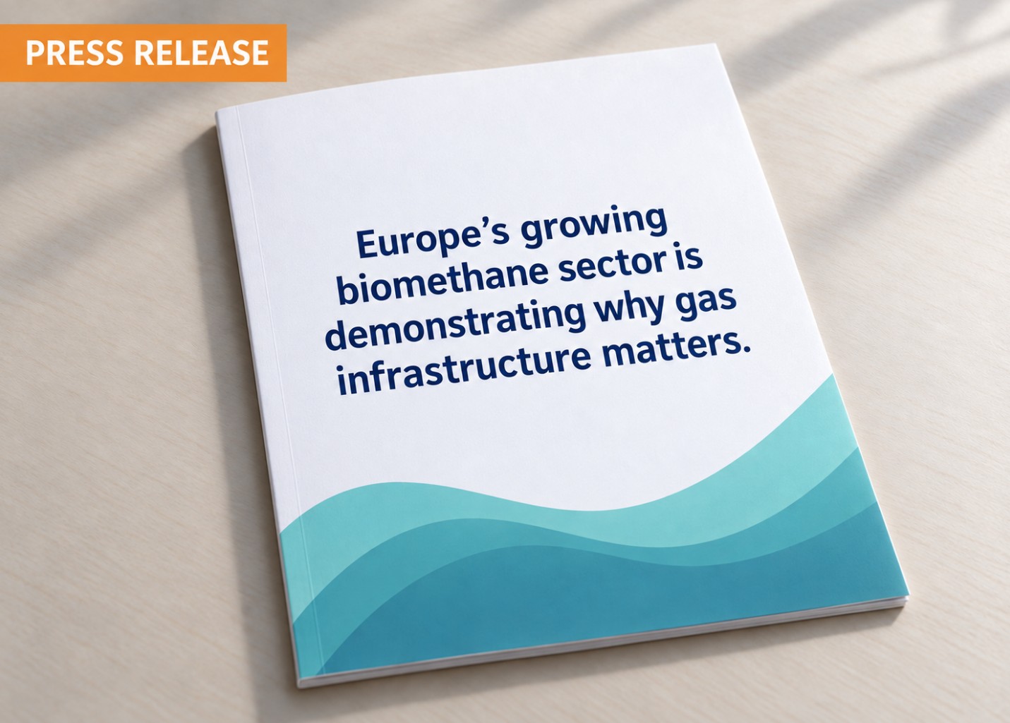 Europe’s growing biomethane sector highlights the strategic role of gas infrastructure