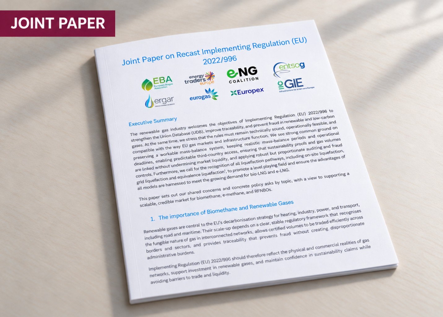 Joint Paper on Recast Implementing Regulation (EU)